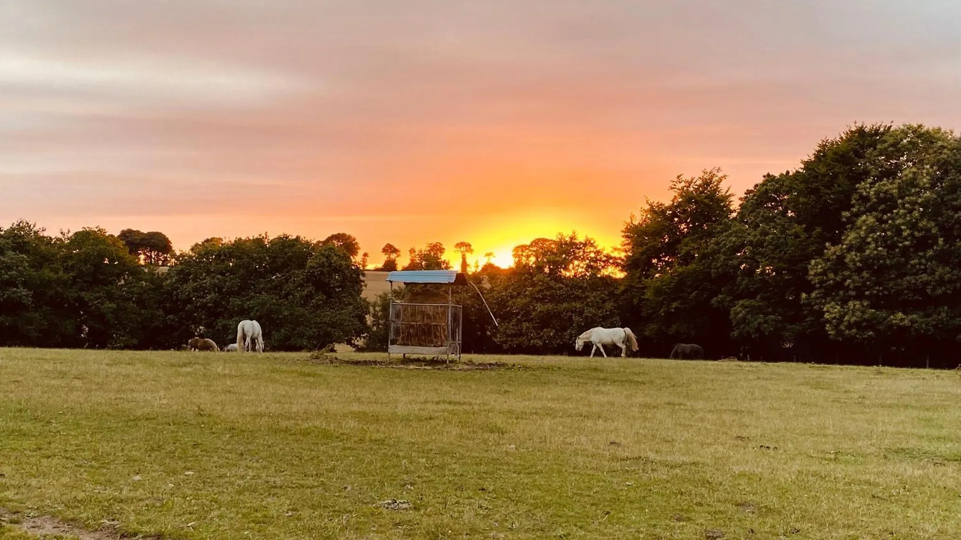 شقة Escapade Dans Un Ranch Le Sourn