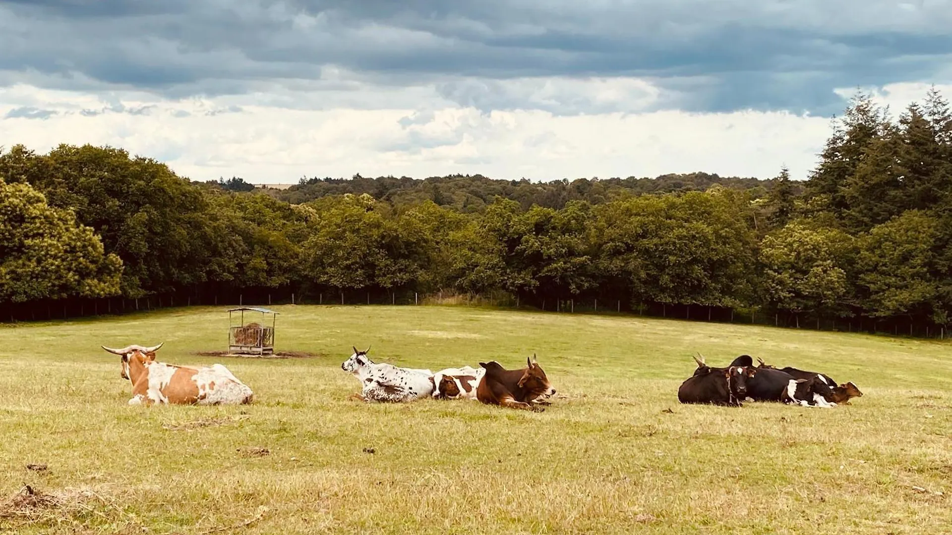 شقة Escapade Dans Un Ranch Le Sourn فرنسا