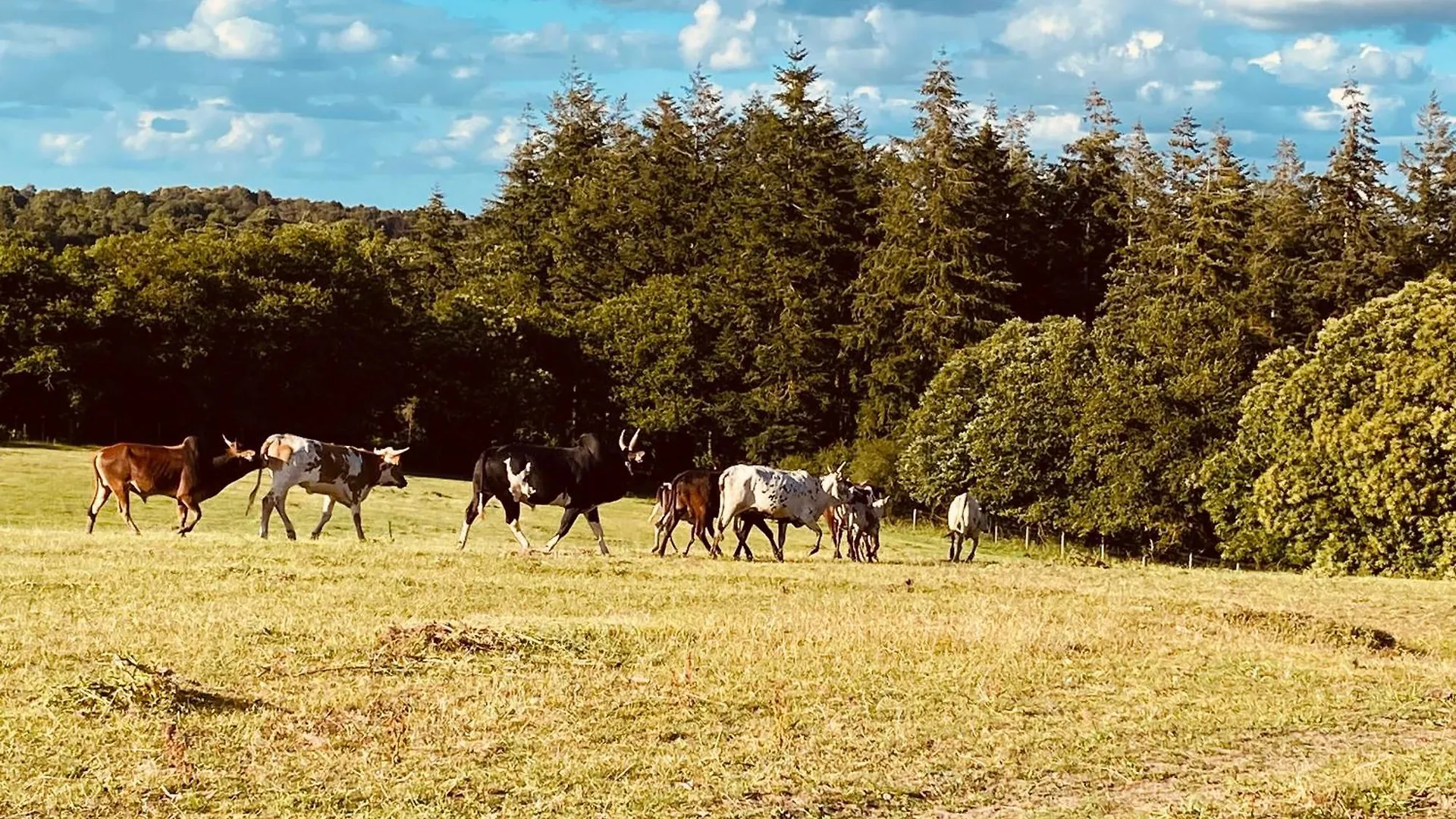 شقة Escapade Dans Un Ranch Le Sourn 0*,  فرنسا